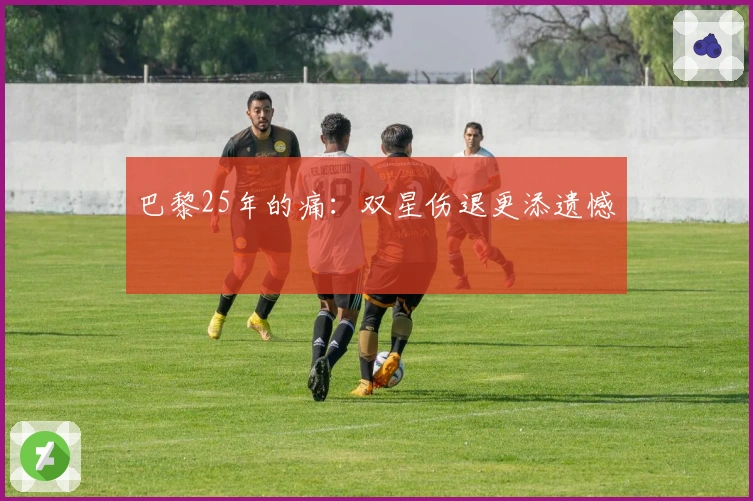 巴黎25年的痛：双星伤退更添遗憾