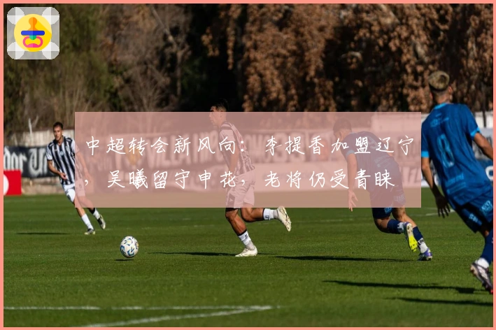 中超转会新风向：李提香加盟辽宁，吴曦留守申花，老将仍受青睐