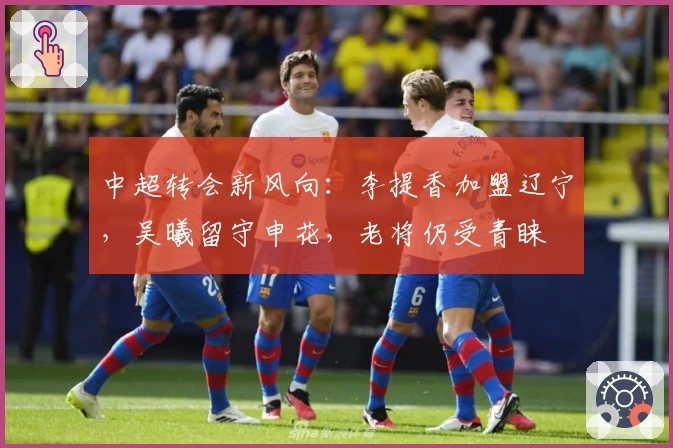 中超转会新风向：李提香加盟辽宁，吴曦留守申花，老将仍受青睐