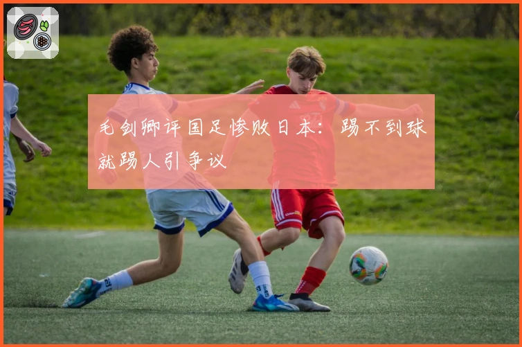 毛剑卿评国足惨败日本：踢不到球就踢人引争议